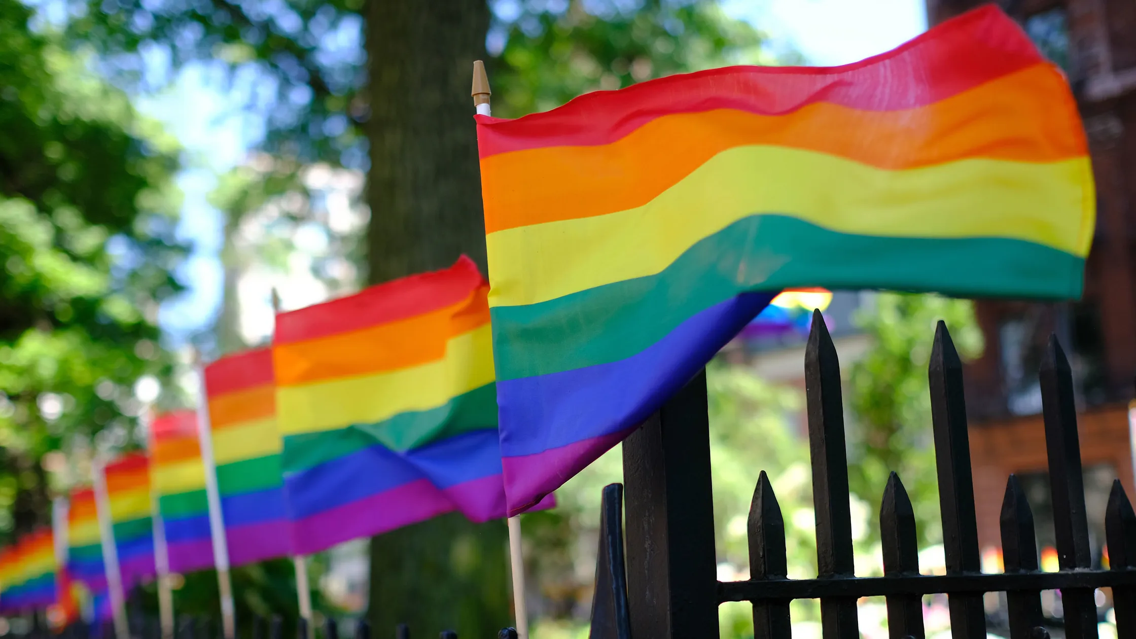 Esperan a más de 13,000 personas en la Marcha del Orgullo LGBTQ+ 2025