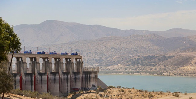 Autoridades atienden afectación a fauna acuática en la Presa Abelardo L. Rodríguez