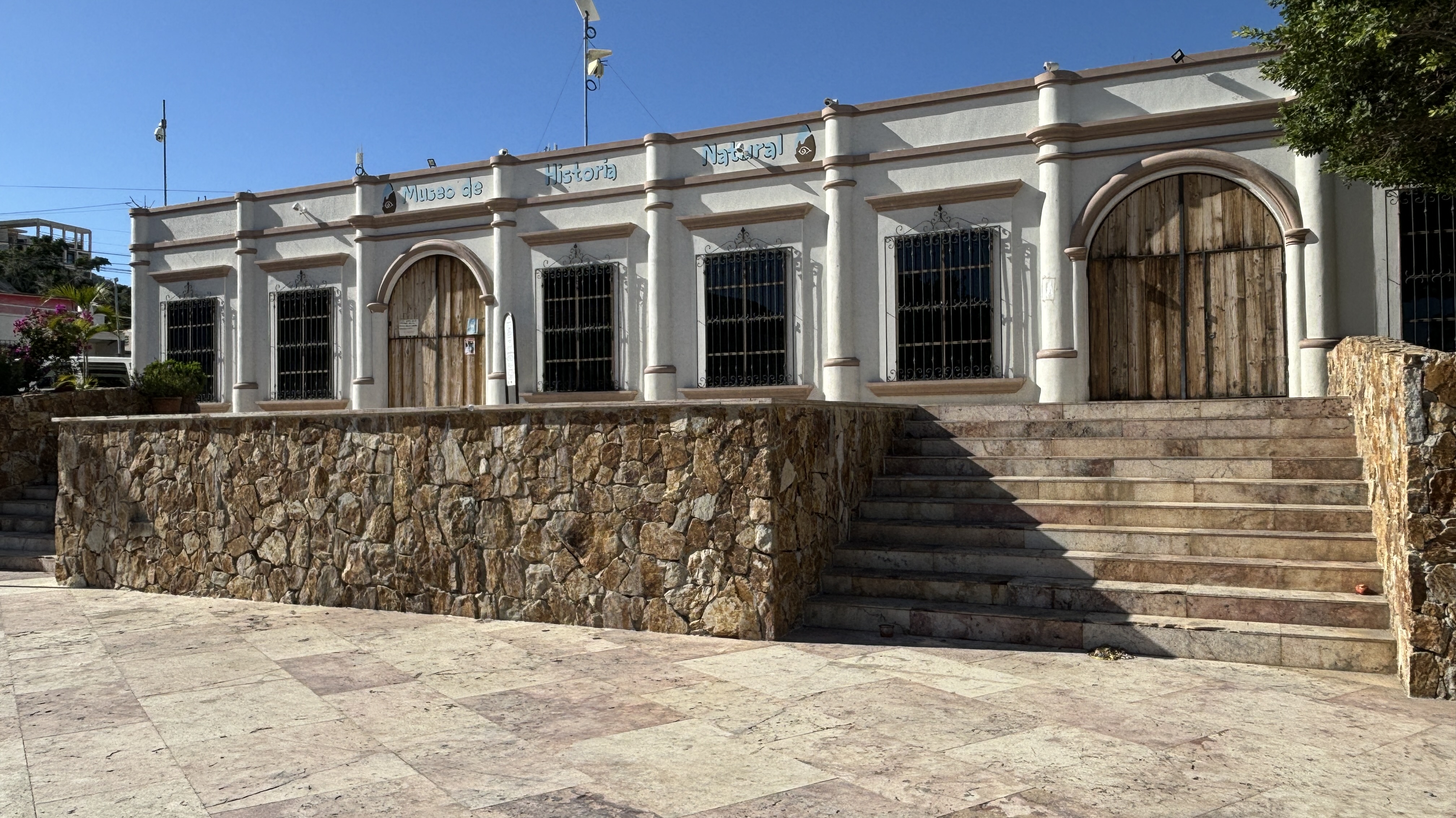 Museo de Historia Natural ofrece clases gratuitas de inglés para todas las edades