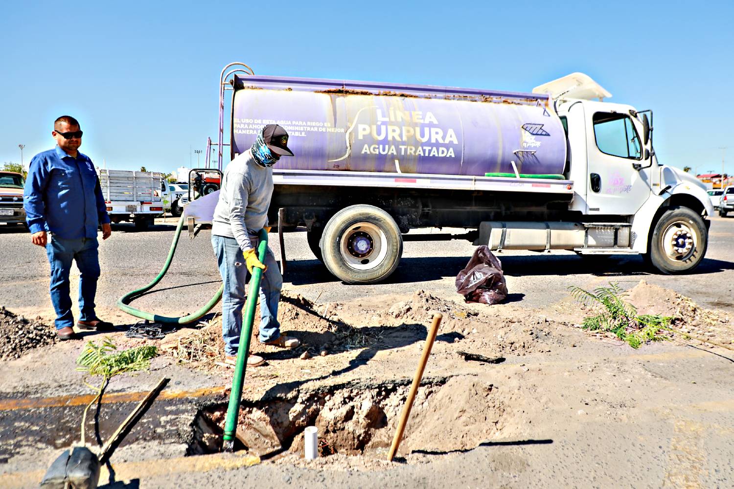 La Paz lanza campaña ambiental con meta de plantar 25,000 árboles y reducir plásticos